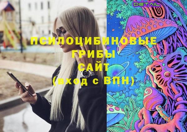 сатива Верея