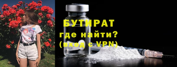 сатива Верея