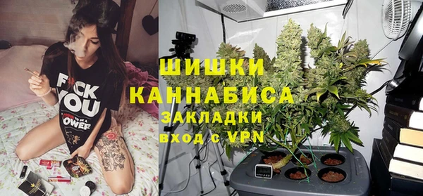 сатива Верея
