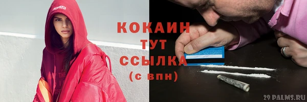 сатива Верея