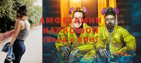 сатива Верея