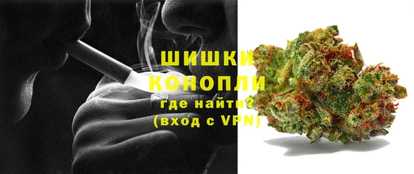 сатива Верея