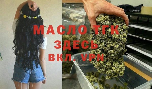 сатива Верея